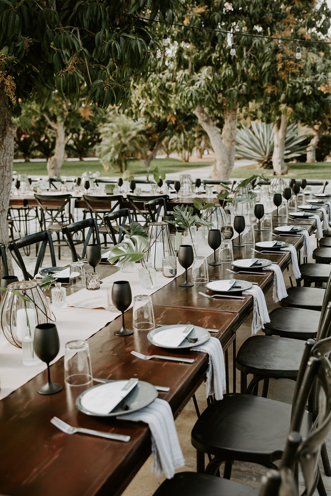 cabo-wedding-17