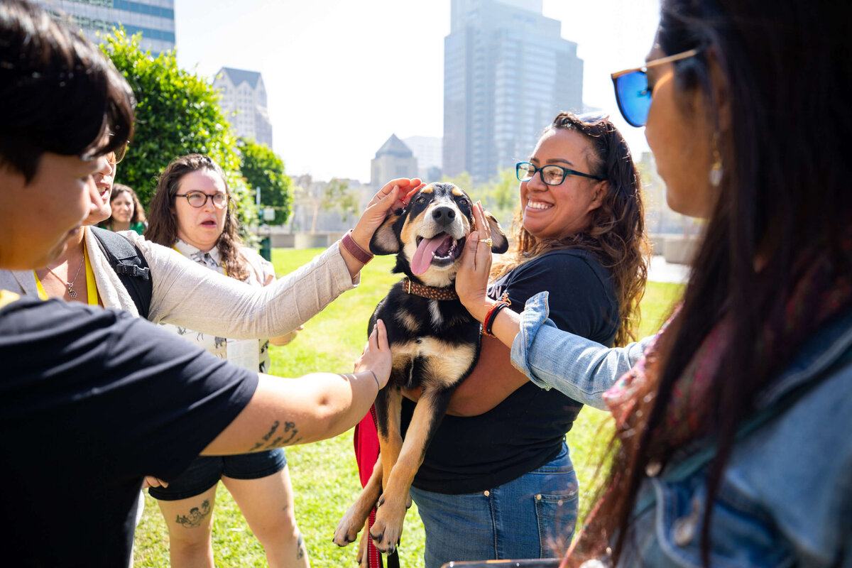 dog-rescue-photography-los-angeles