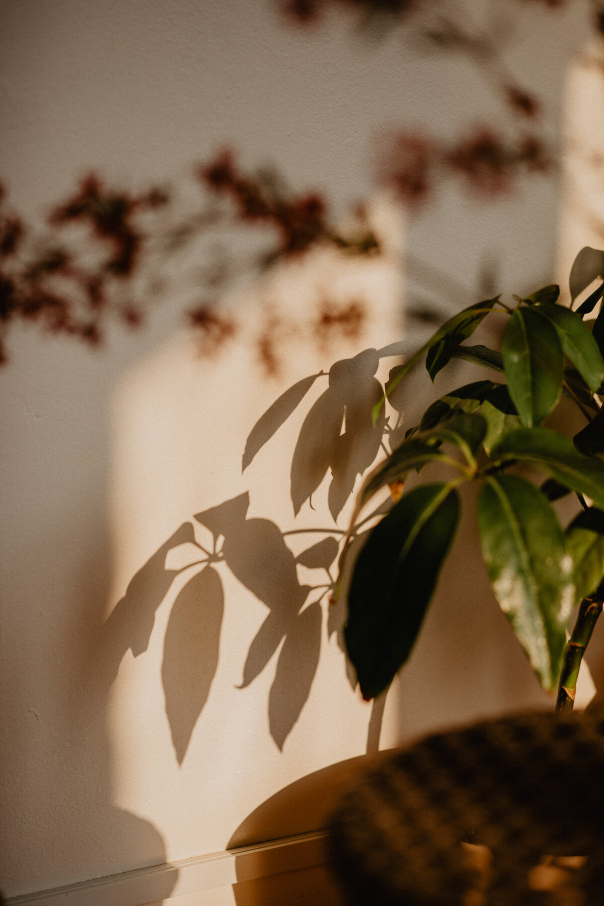 2019_12_12_Mediatrix_Wellness_99