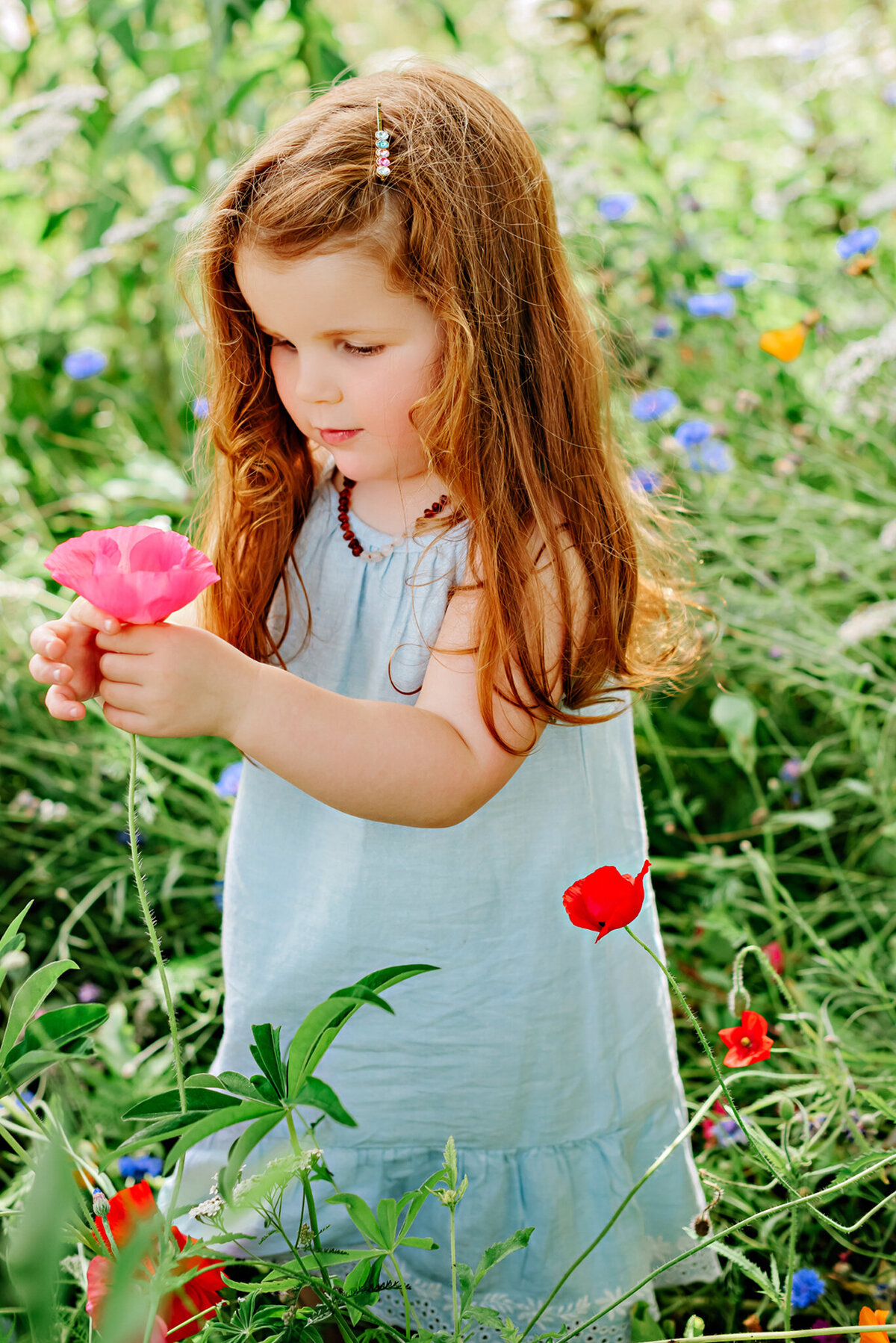 WILDFLOWERS-SOPHIE-010