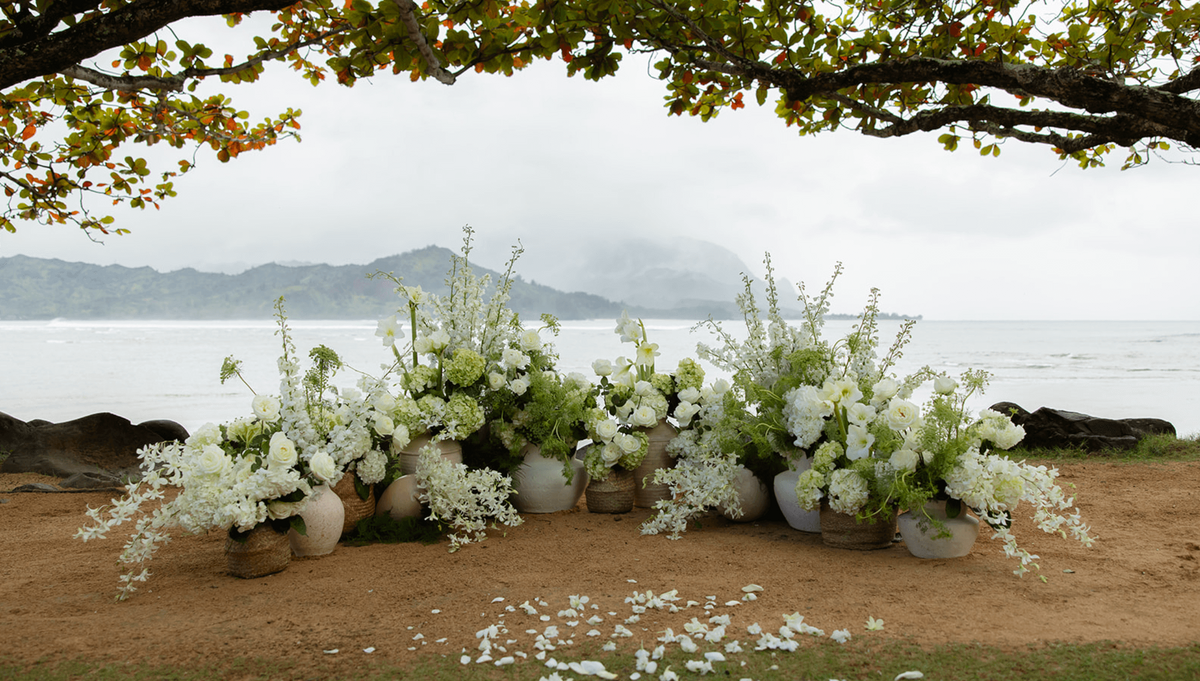 Screenshot 2025-11-25 at 12.14.58 PM