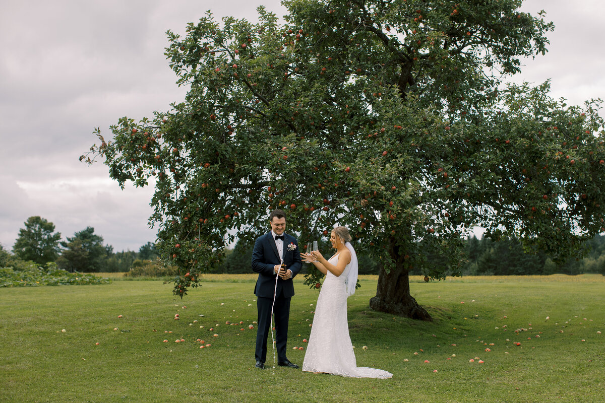 oromocto-wedding-couple-apple-tree