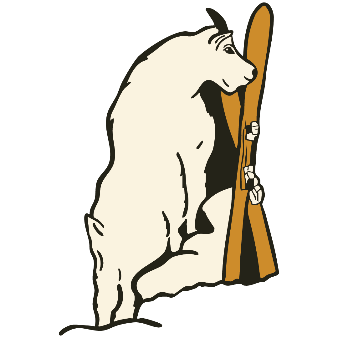 Mountain Goat - Skis