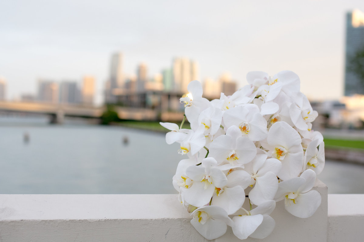 NFL Miami Dolphins Brandon Radcliff ShaKyra Radcliff Briza on the Bay Wedding Andrea Arostegui Photography-226