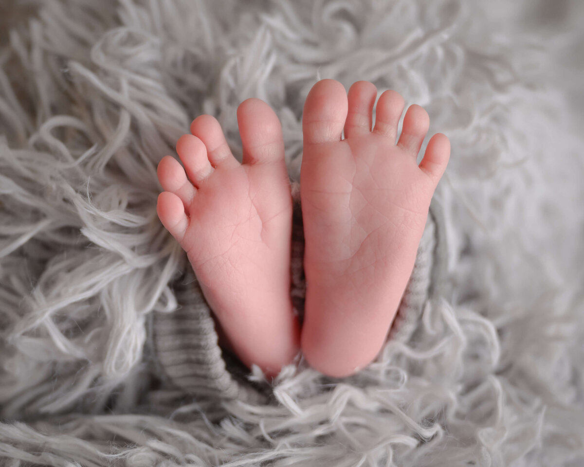 Newborn feet photographed at an in home newborn session in Kitsap County, WA by E. Benecki Photography.