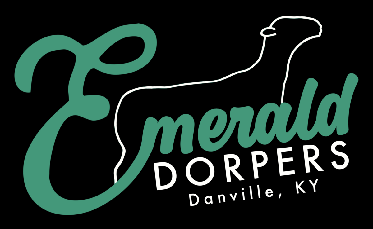 Emerald Dorpers, Danville, KY logo