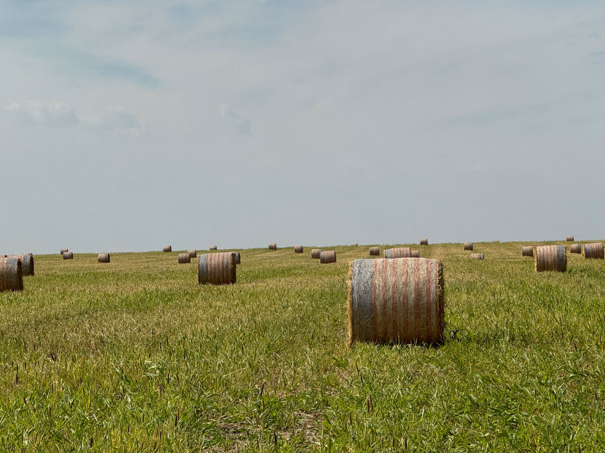 cross-country-trip-heather-homes43