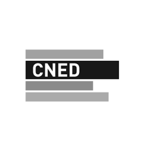 logo-cned