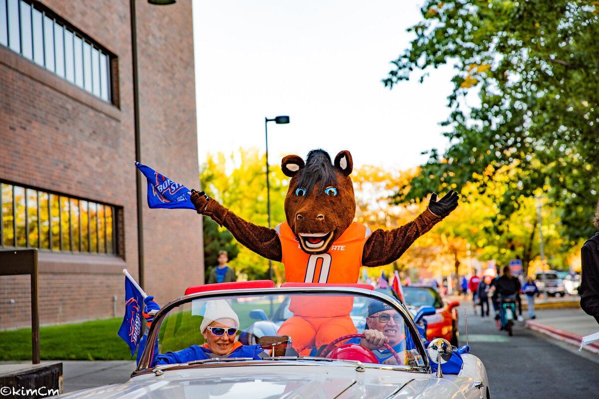 BSU-6
