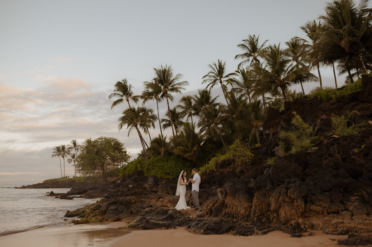 michigan hawaii elopement photographer