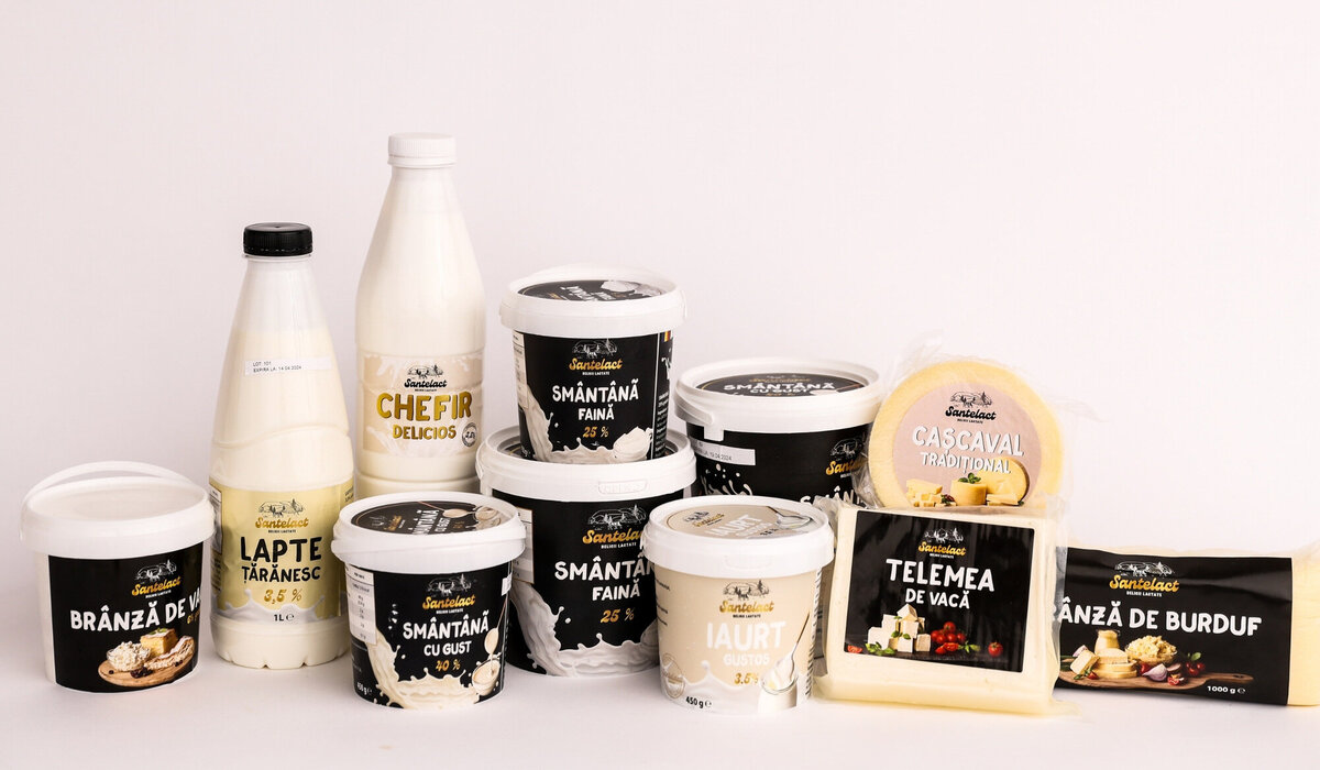 brand design for dairy company24