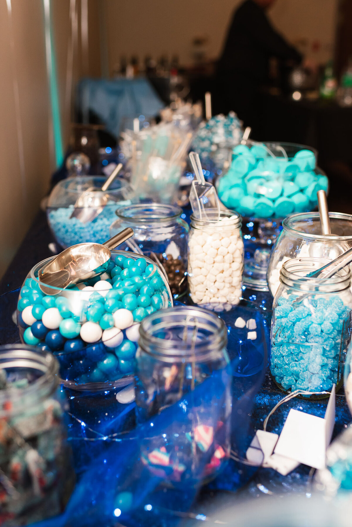 Levitan Bar Mitzvah, Anshe Emeth Memorial Temple, New Brunswick NJ, Nichole Tippin Photography-52