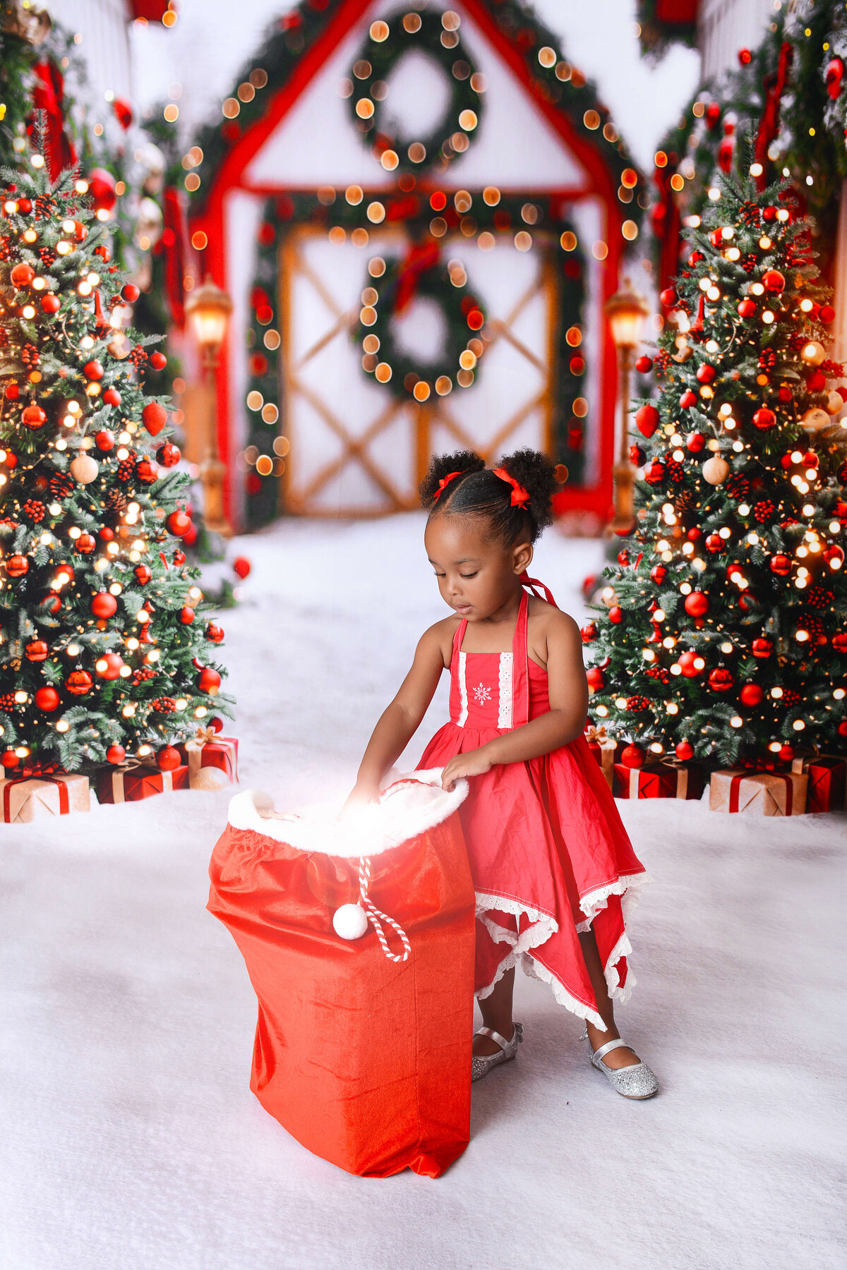 houstonchristmasminis (2)