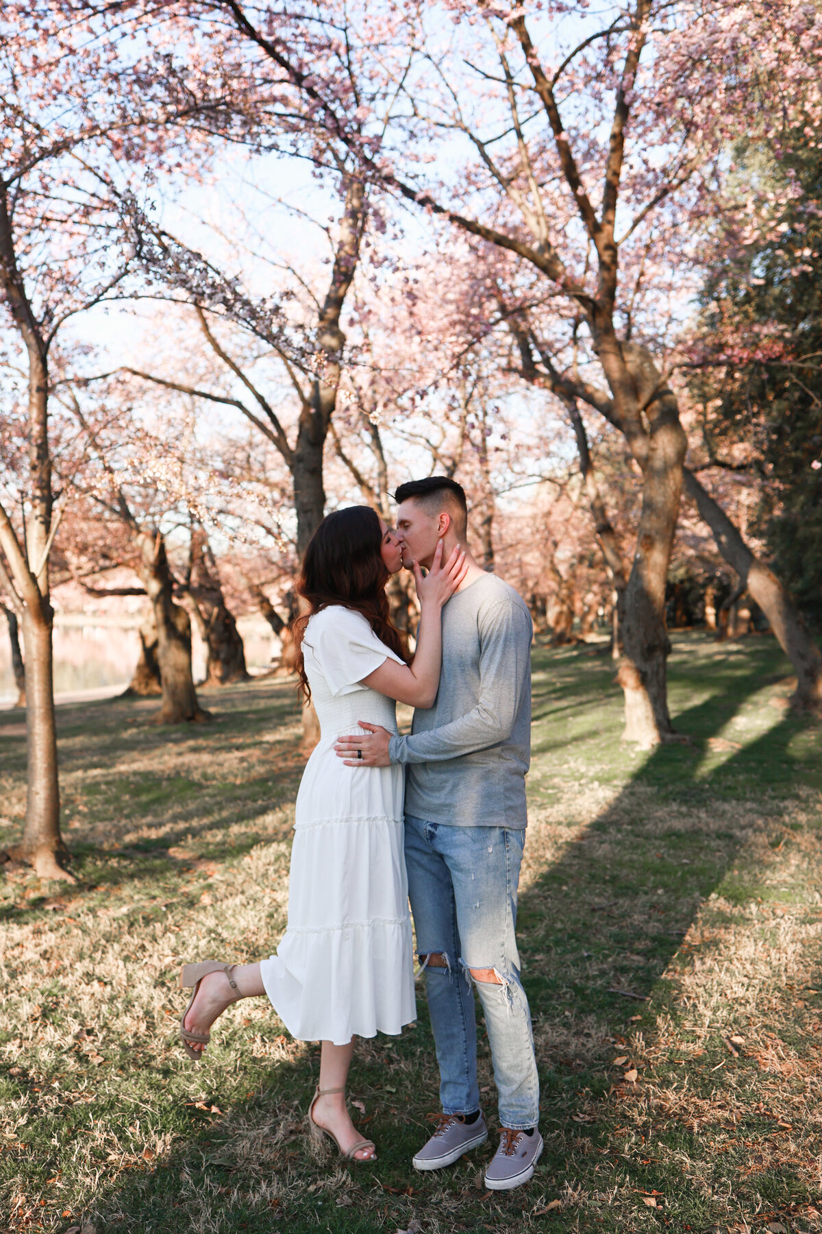 engaged couple kissing under cherry blossom trees by Washington DC wedding photographer Amanda Richardson Photography