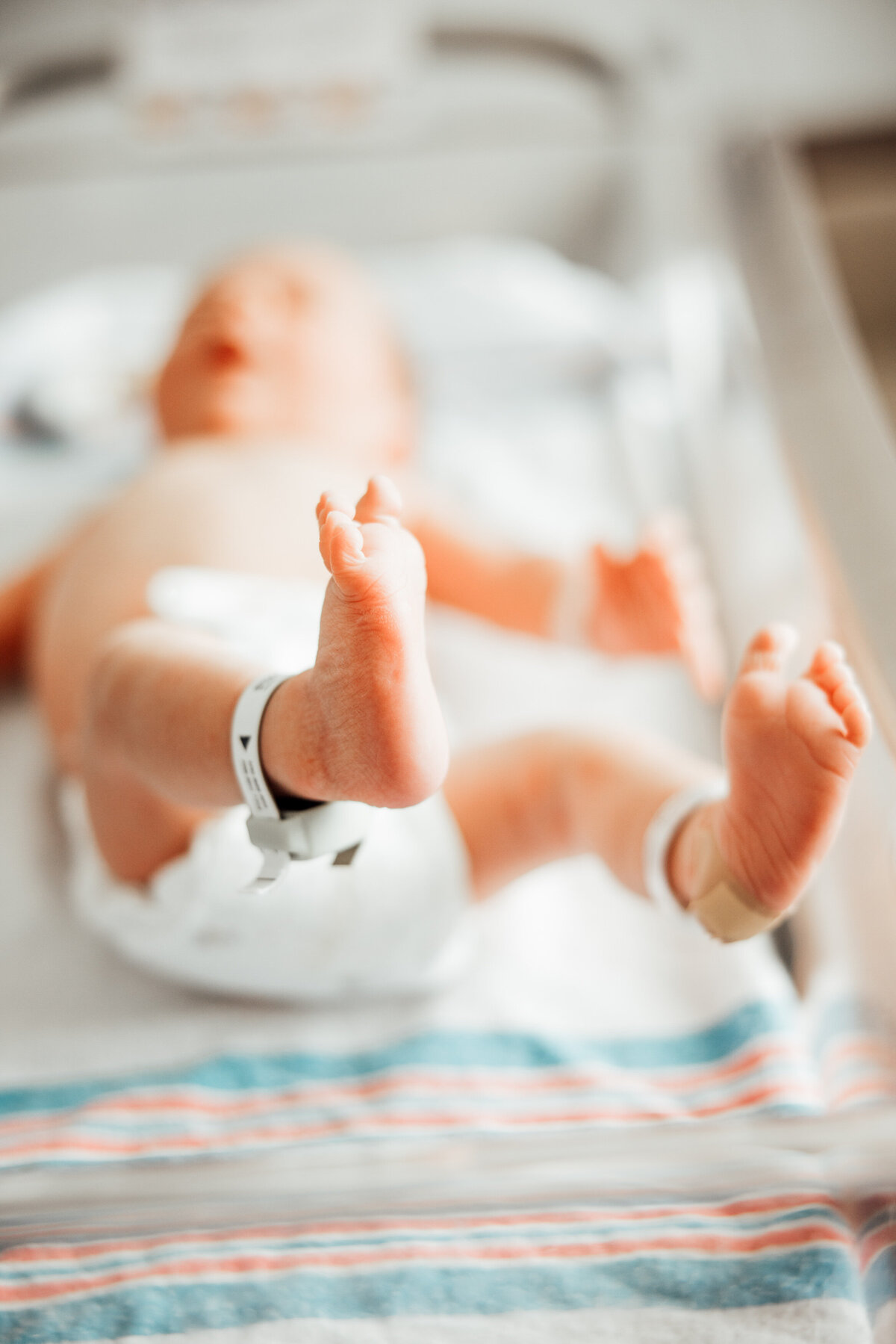 fresh 48 baby photography huntsville