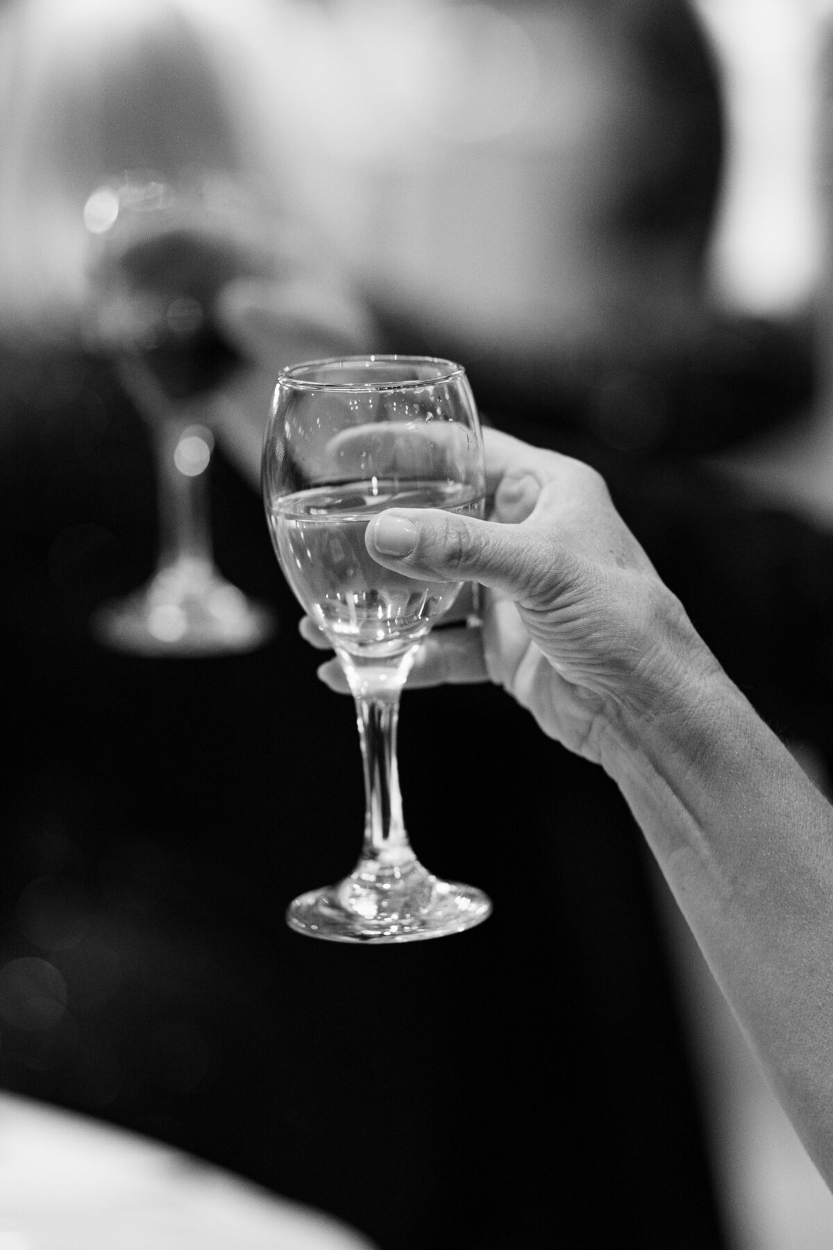 chicago film wedding photographer