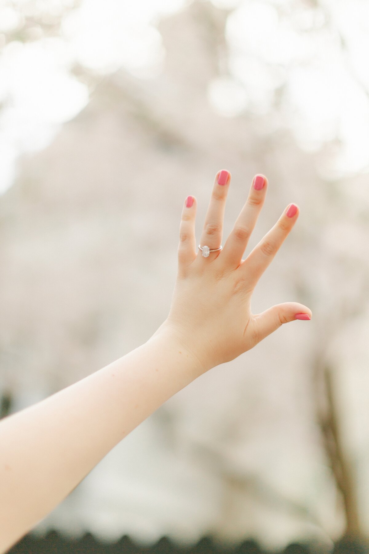 Engagement Portfolio_0015