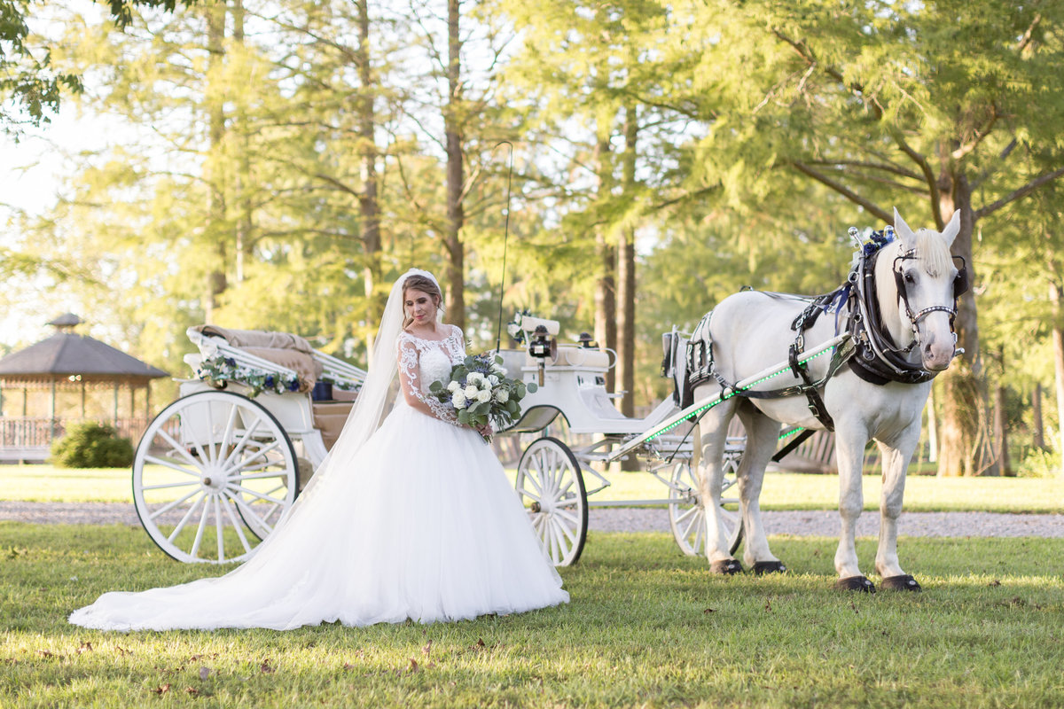 Bride poses for a photo with a horse drawn carriage.
