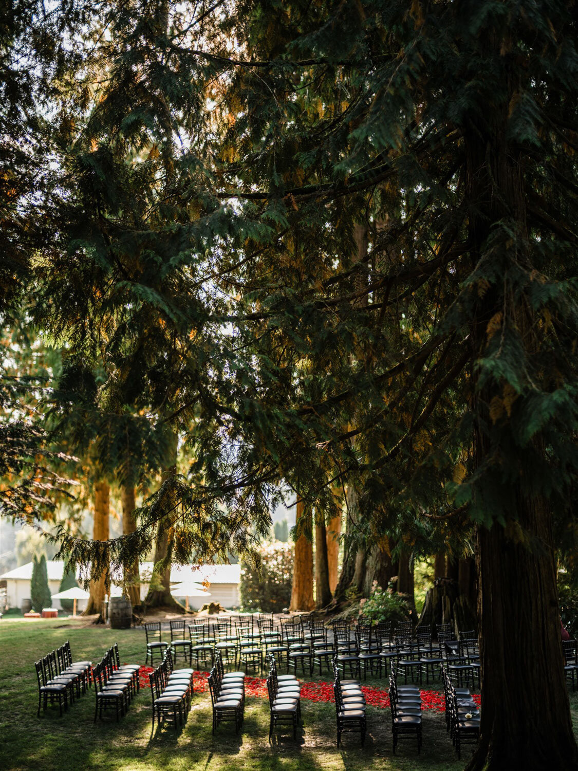 Wooden chairs arranged for an outdoor ceremony