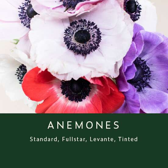Anemones