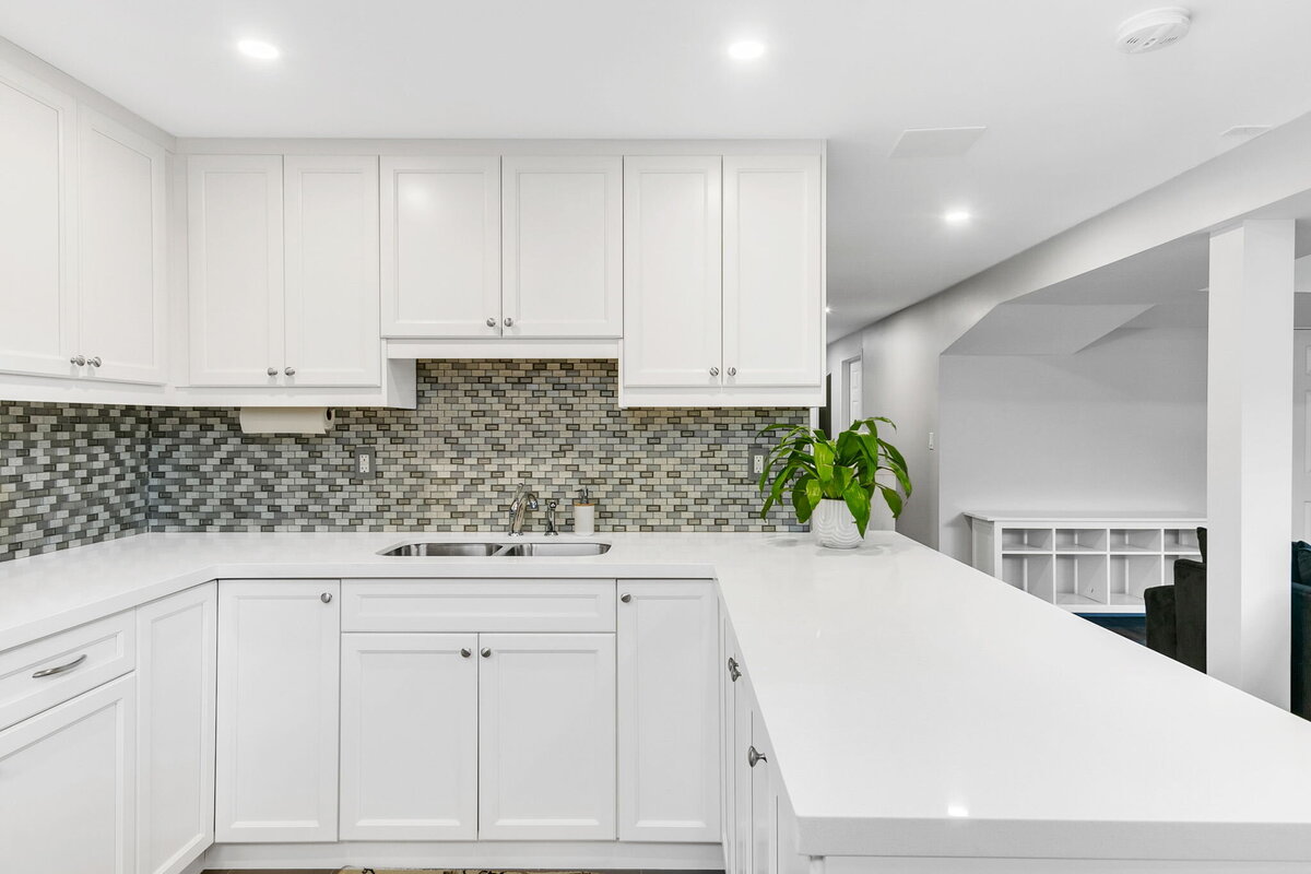 37-web-or-mls-60_007_Lower Level