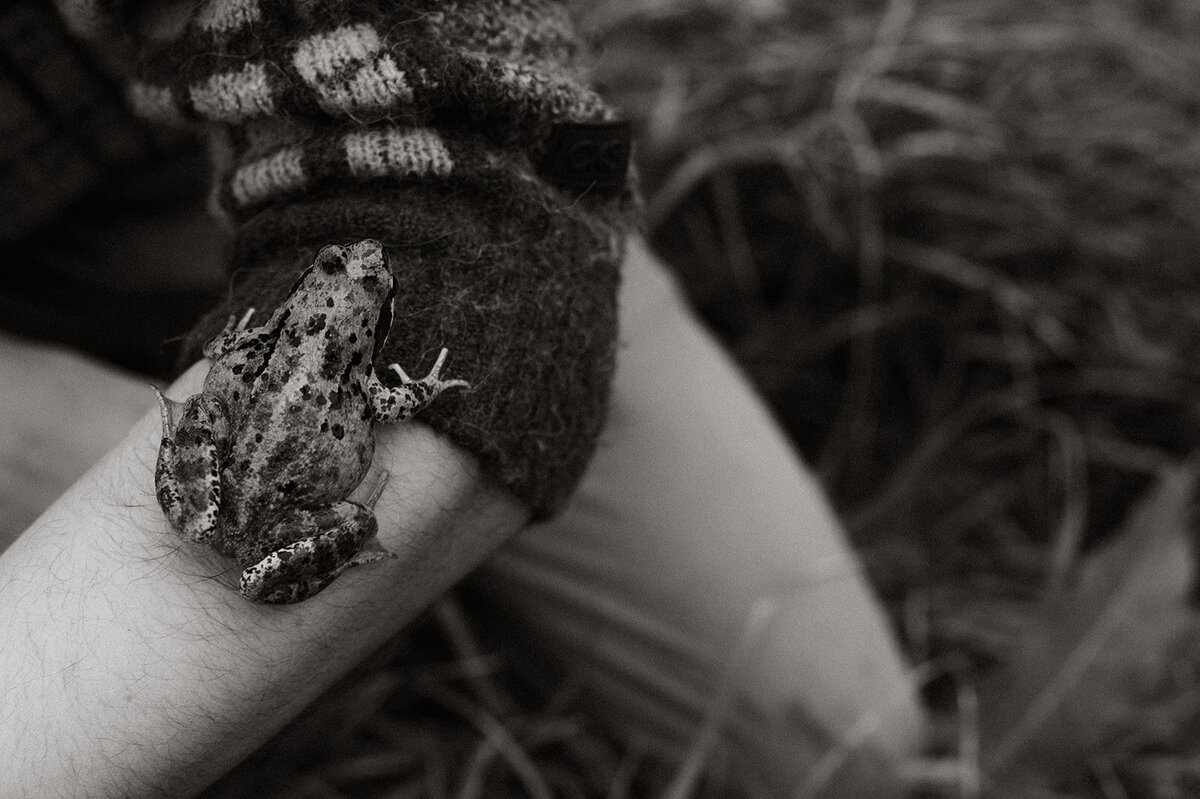 authentieke gezinsreportage in het bos