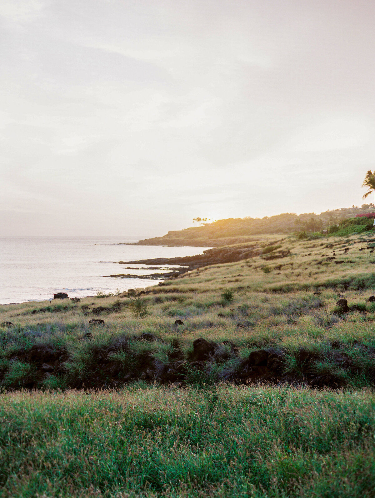 FS Lanai | Hawaii Wedding & Lifestyle Photography | Ashley Goodwin Photography