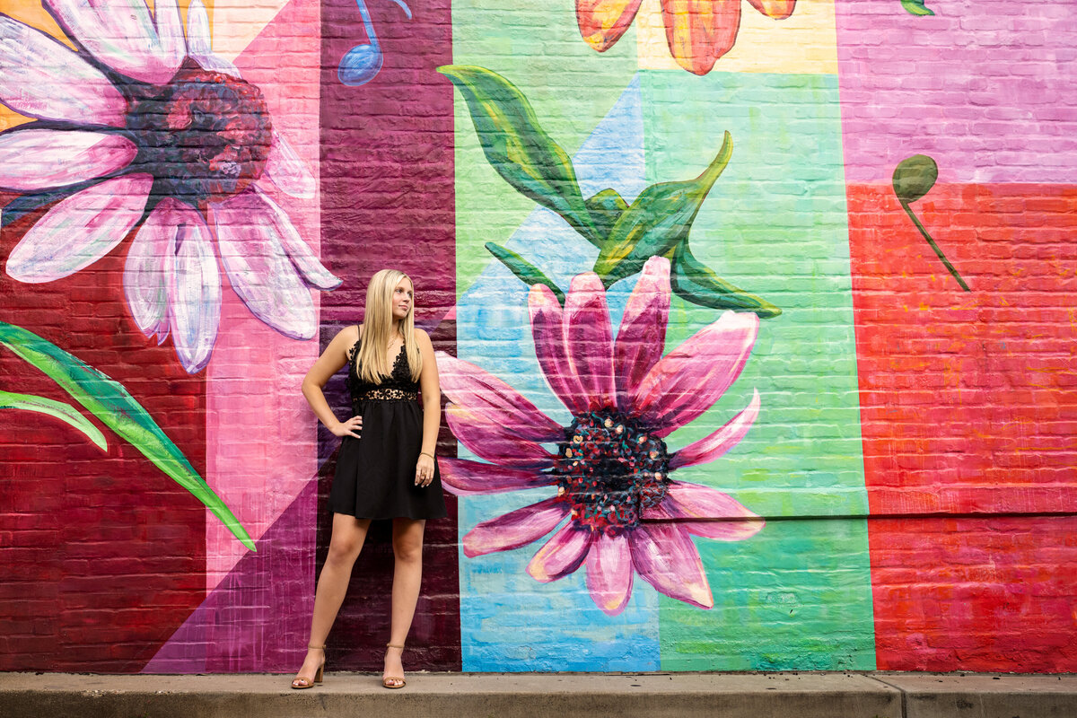 New Brighton Minnesota high school senior girl in black dress against colorful background