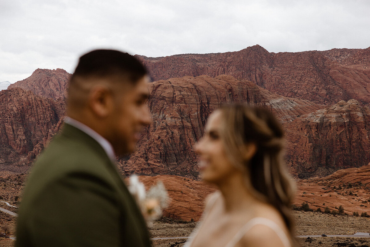 ZionSnowCanyon-dallinhassard-3055