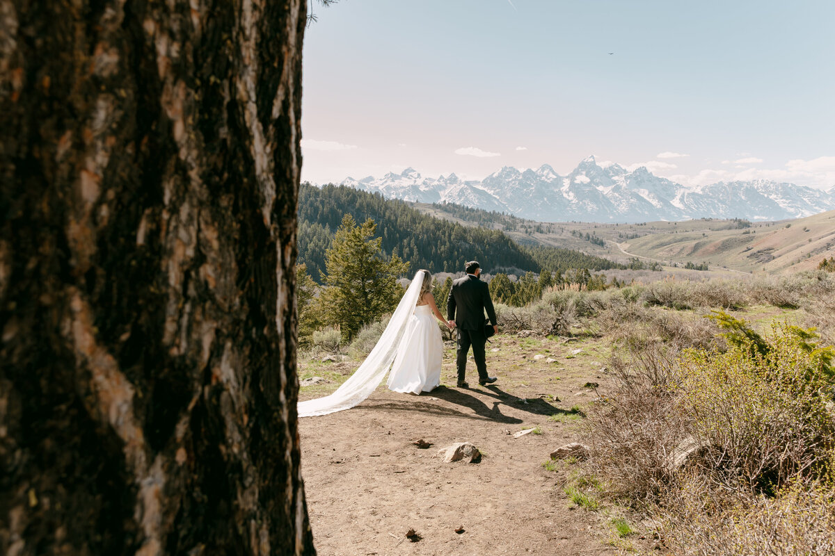 The Wedding Tree Grand Tetons Elopement-3819