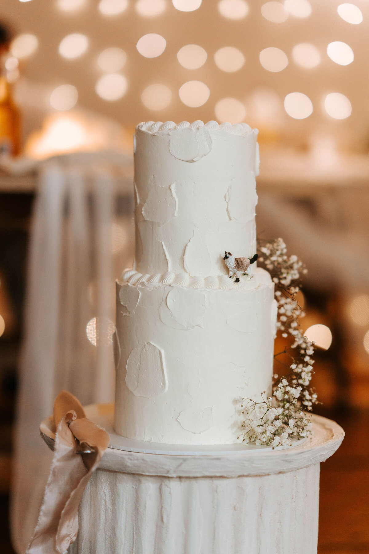 shannon-blair-day-wedding-1010