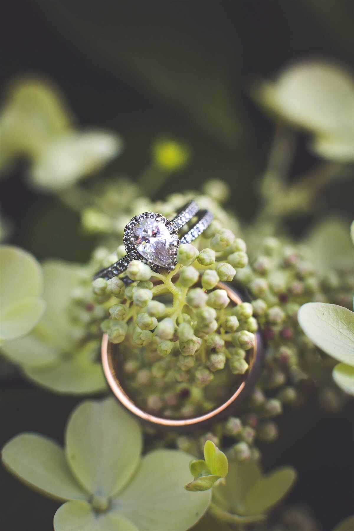 A creative photo of wedding rings sitting on greenery.