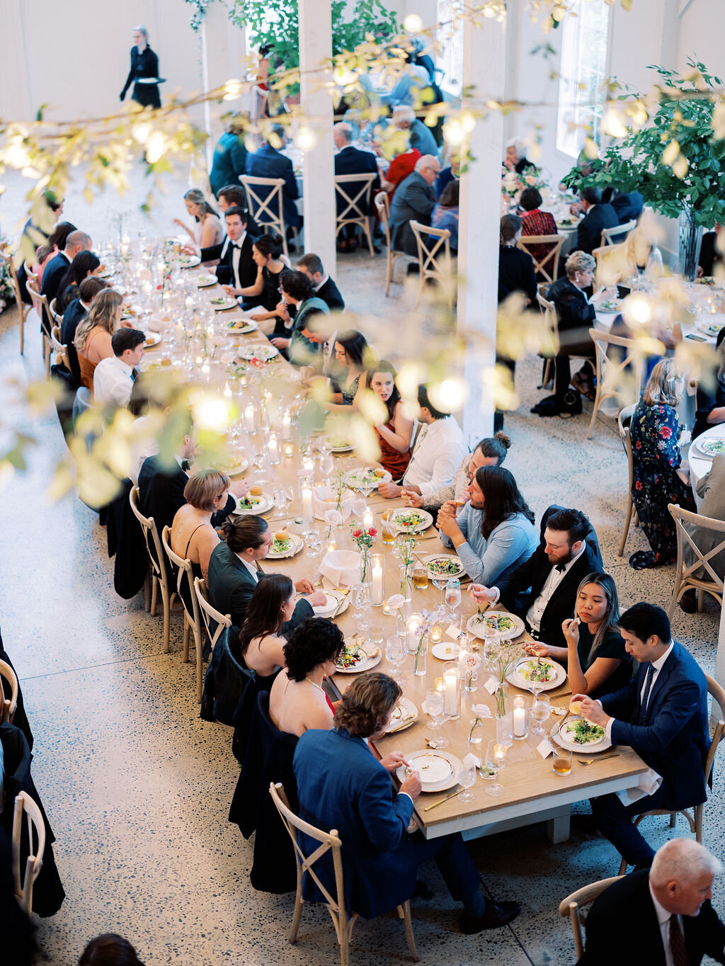JMP-Berkelhammer-Dinner-120