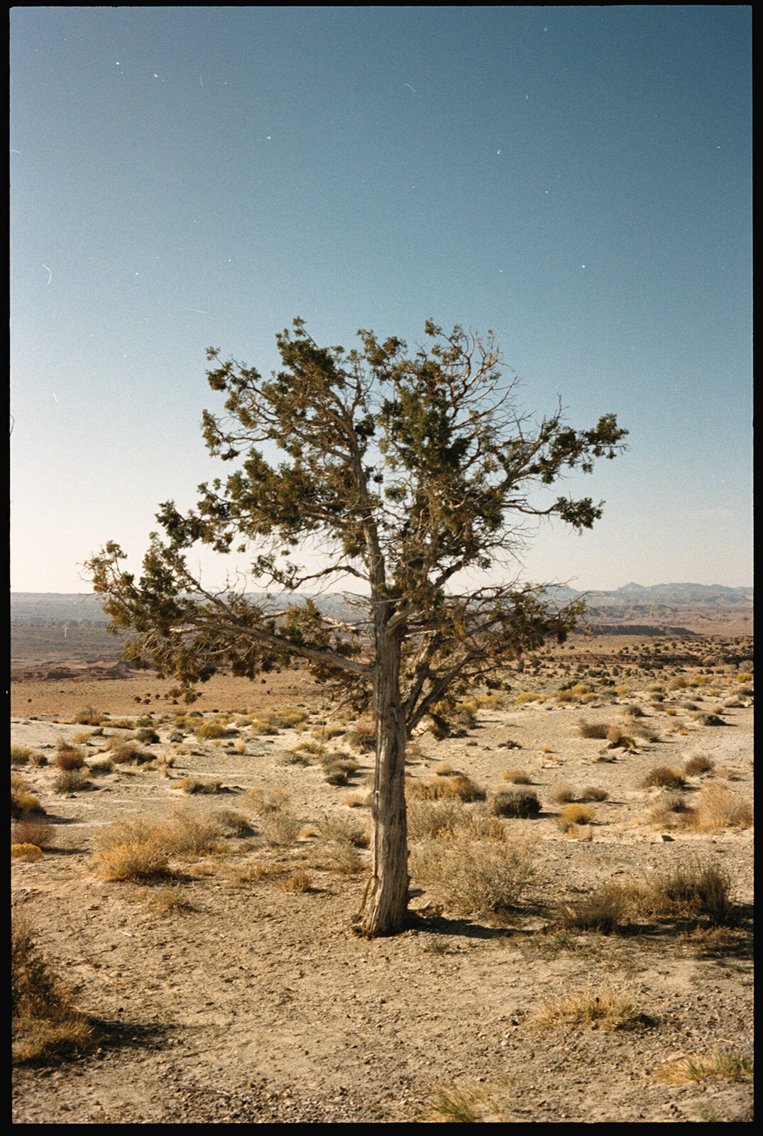 loui_photography_analog_photography_2025-4