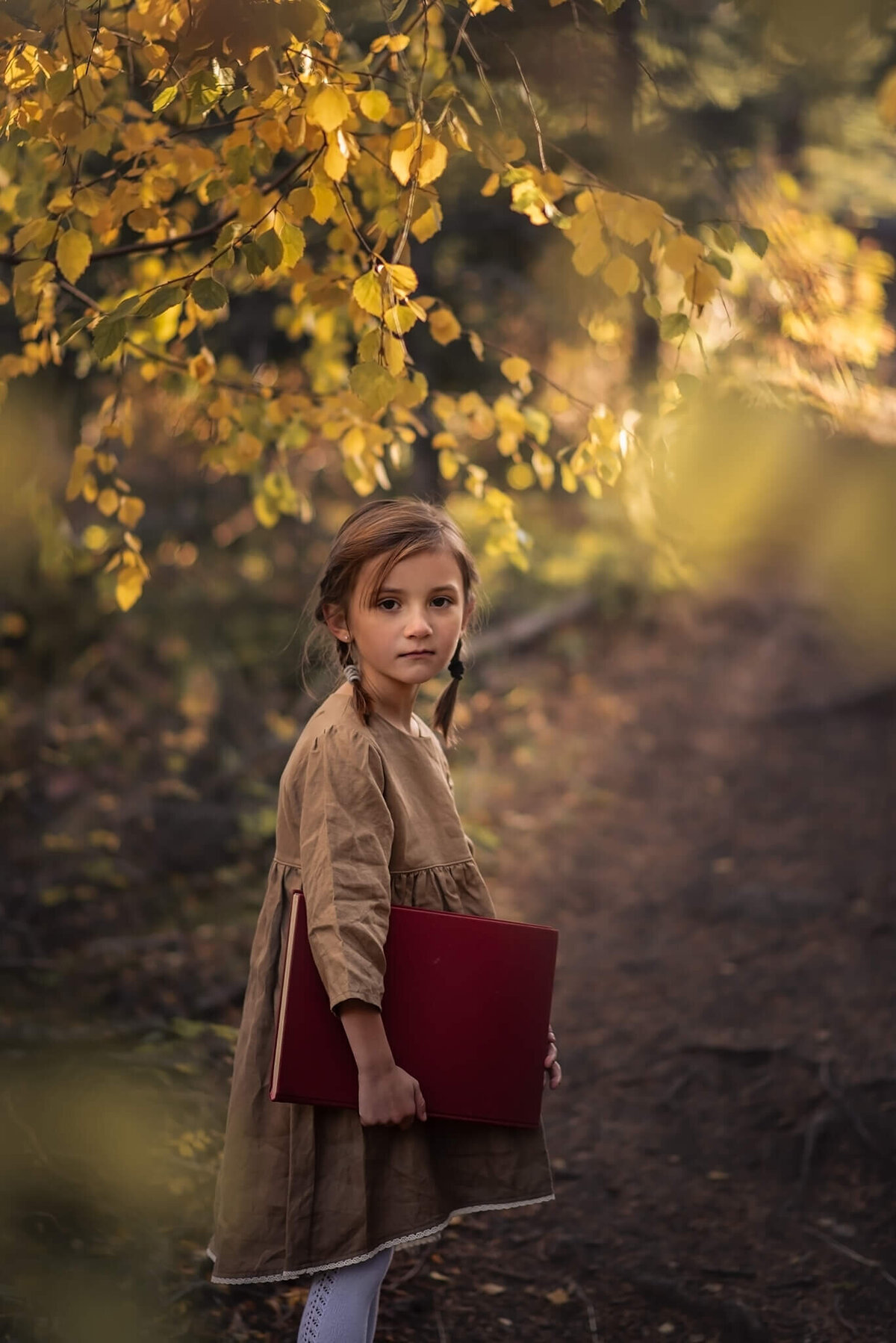 Sun rays shine down on a little girl with braids holding a red book in the forest. Portrait by Brittany Danielle.