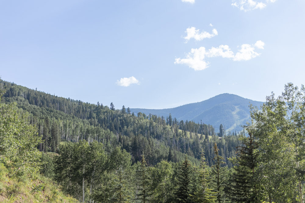 ArianaNicolePhotography_Beaver_Creek_Lodge-0060