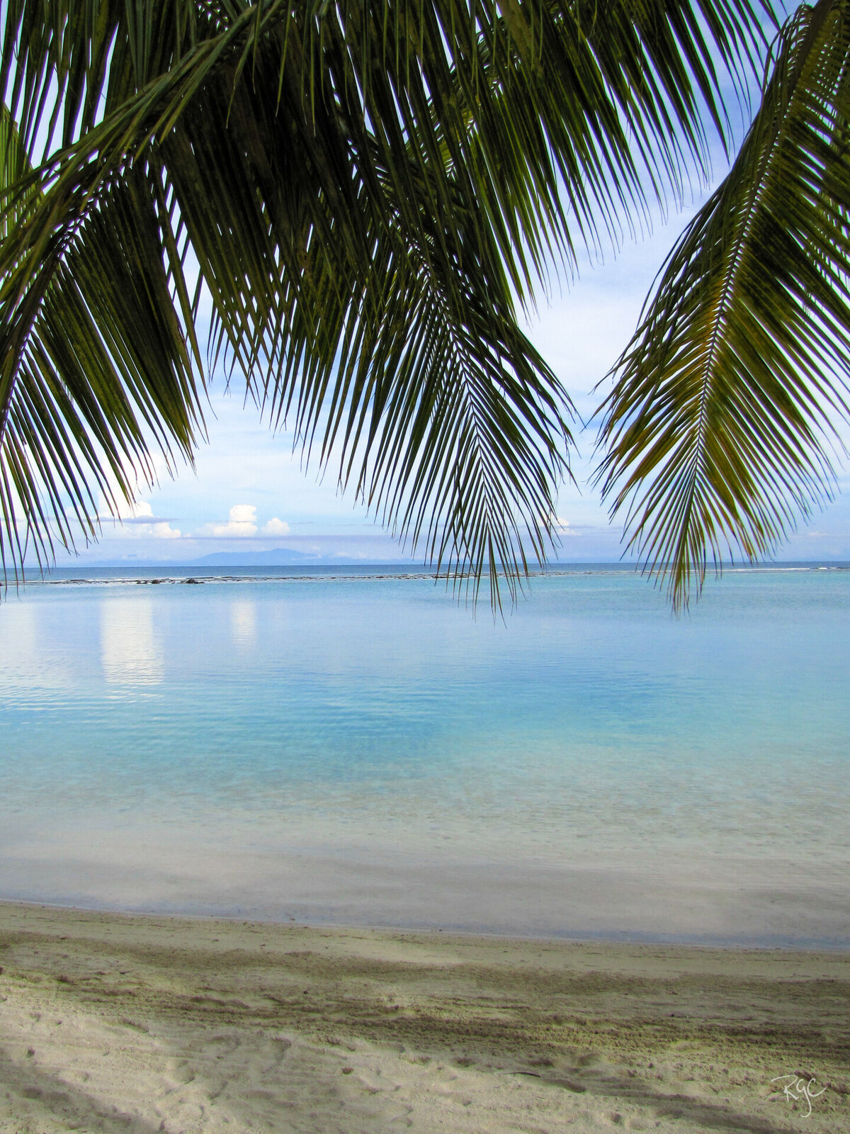 Roatan 2012-3211