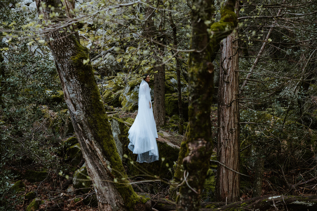 Bride standing on deep washington forrest 