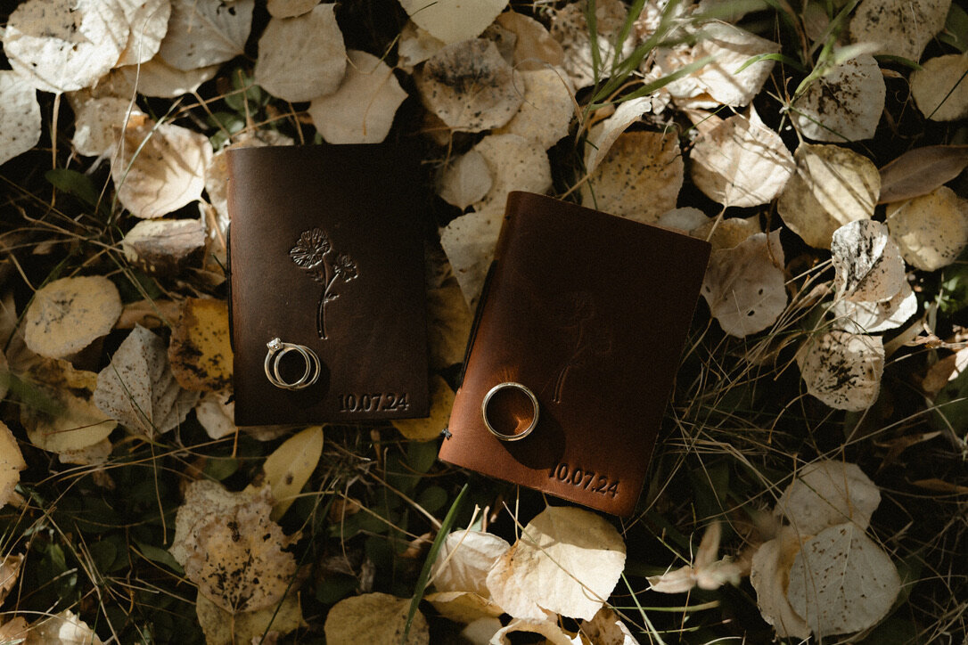 4F1326D3-7BC2-4C7A-90F1-8D45D7765B18_1_105_c