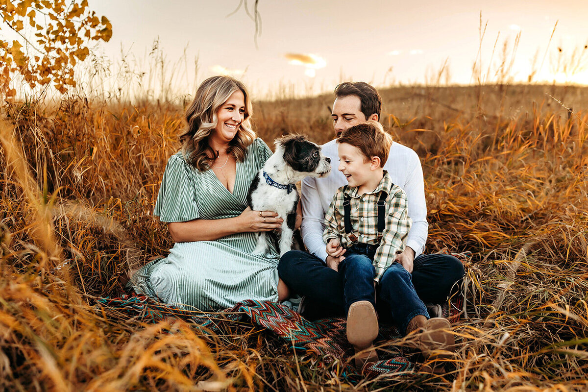 Mom, dad, school aged son and small dog sitting together in a golden field in Loveland, Colorado.