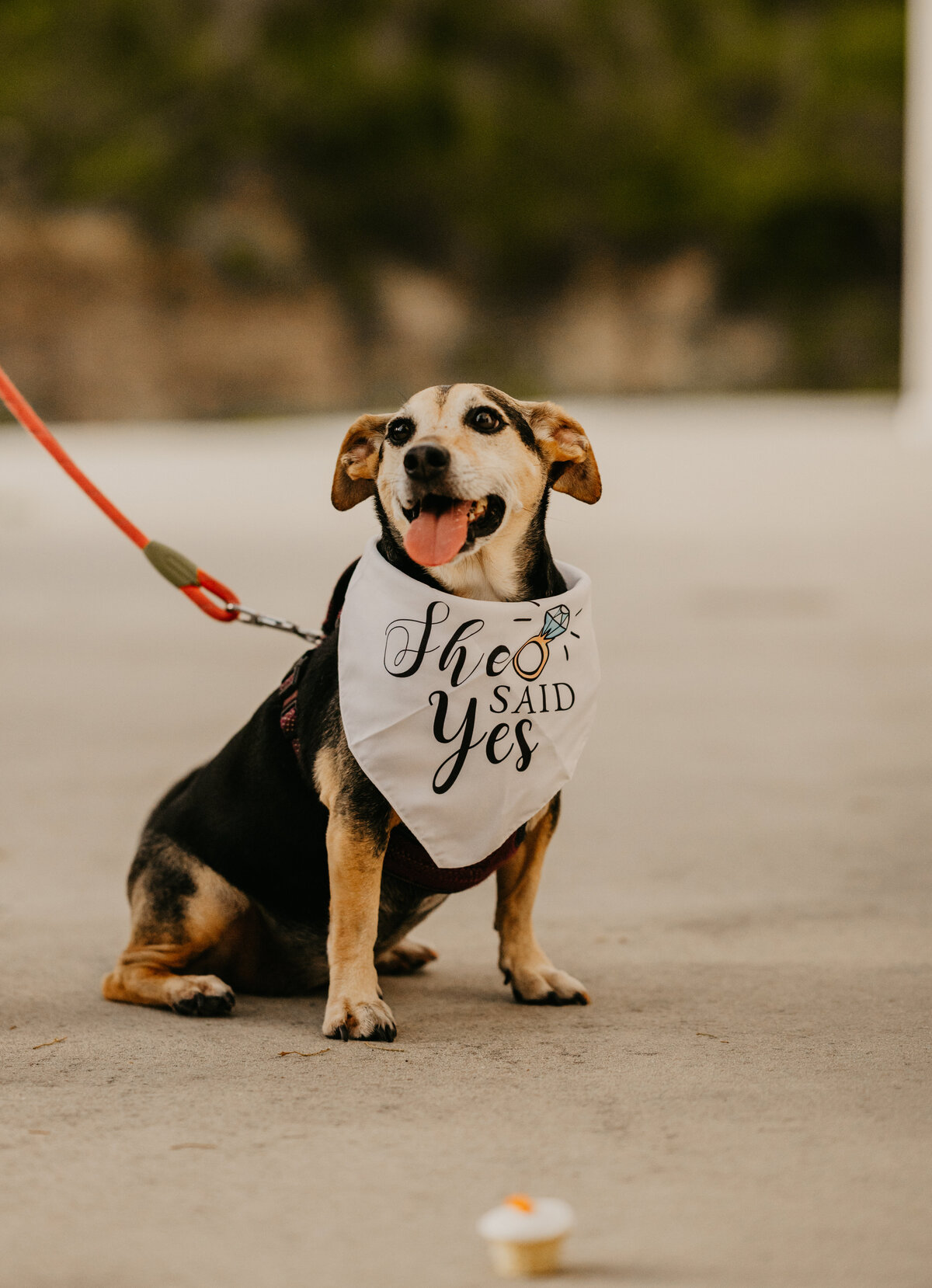 mariah-lacy-photo-white-rock-canyon-surprise-proposal-chantilly-chic-celebrations-13