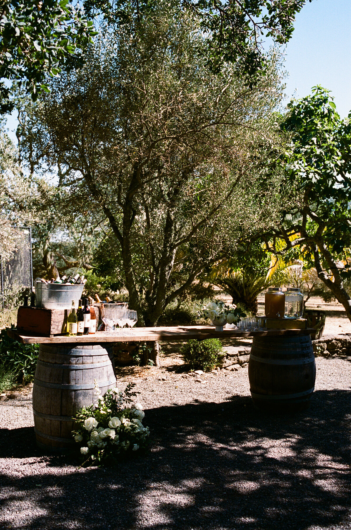 NatalieMax-Wedding-crystalkphotos-492