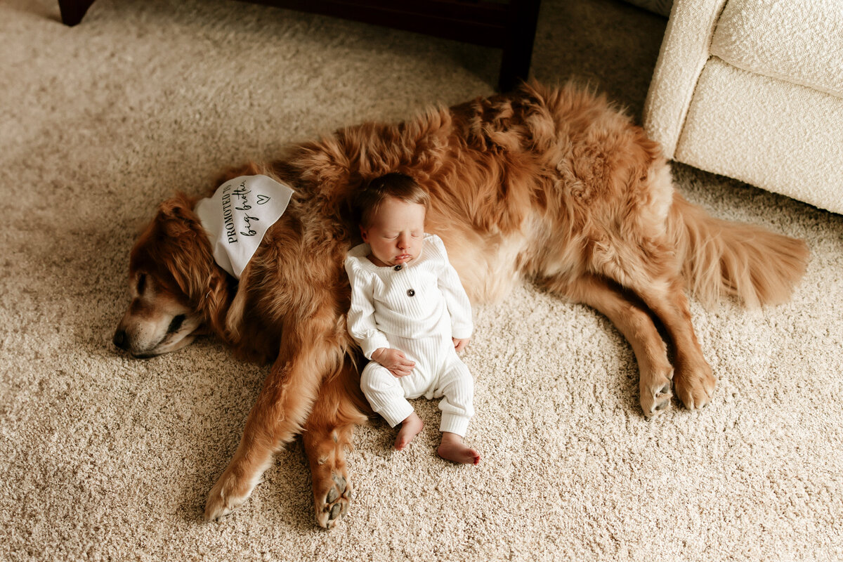 annieharperphotography-HNnewborn-9