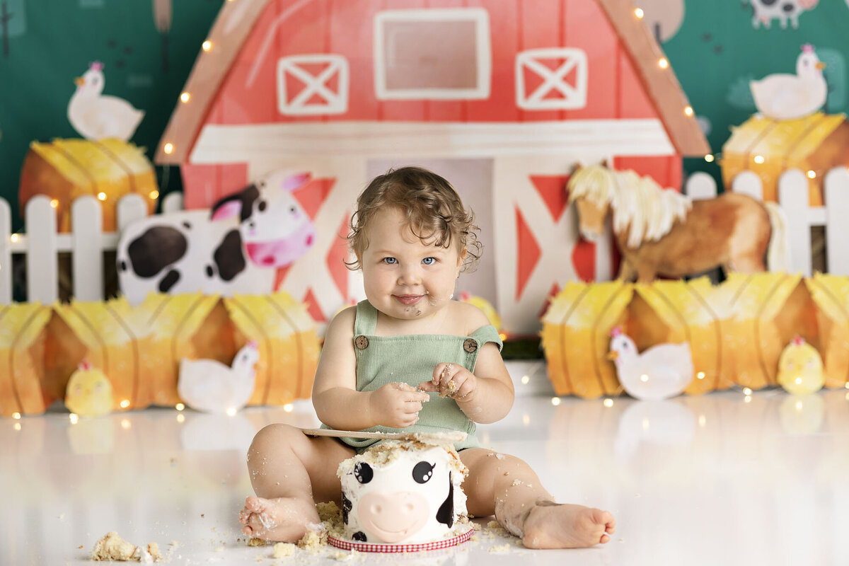 columbus-ohio-first-birthday-cake-smash-photographer-baby-boy-farm-theme-amanda-estep-photography