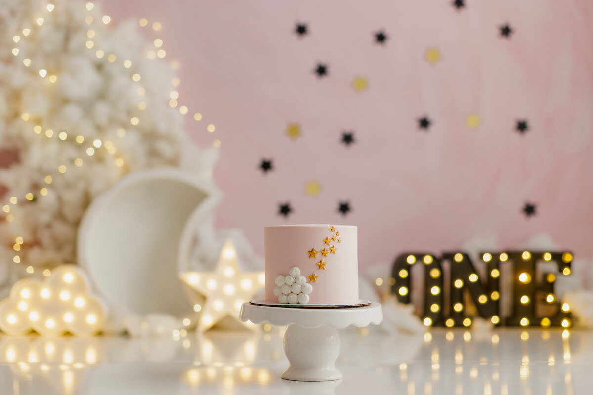 Huntsville AL Best Cake Smash First Birthday Photographer Studio