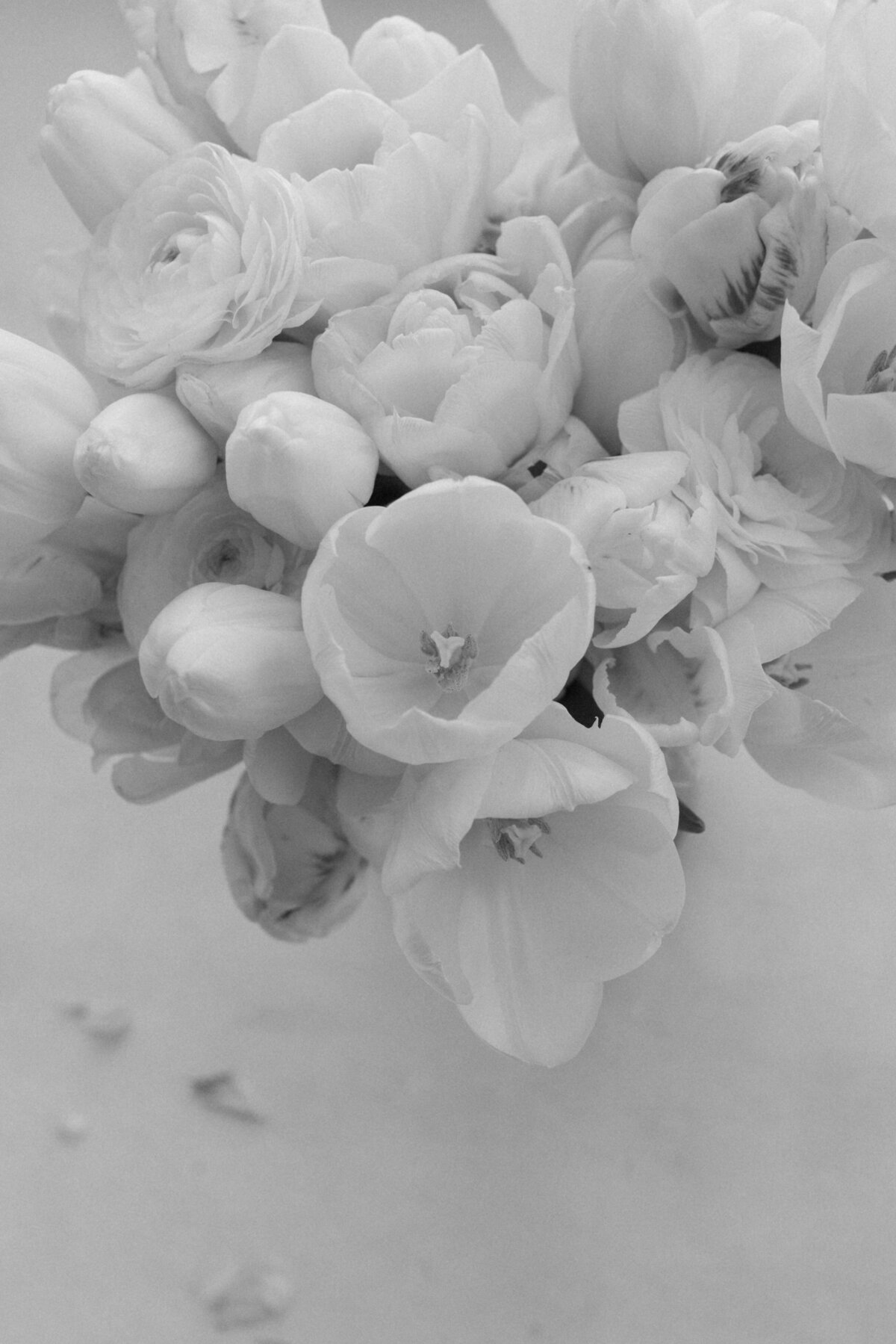 maggiejeffbethanymichaelabw-40