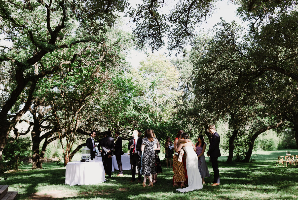 Wedding guests mingling under the trees at Mattie's wedding venue in Austin