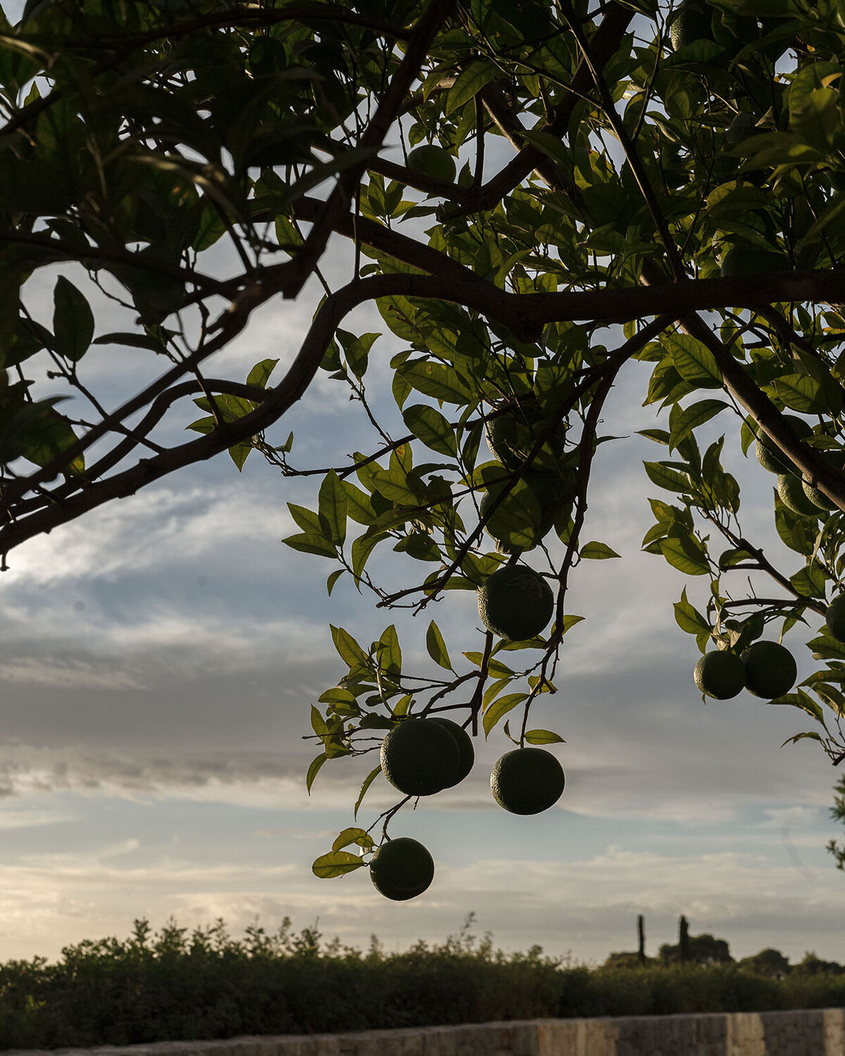 theresakelly-amanzoe-engagement-64