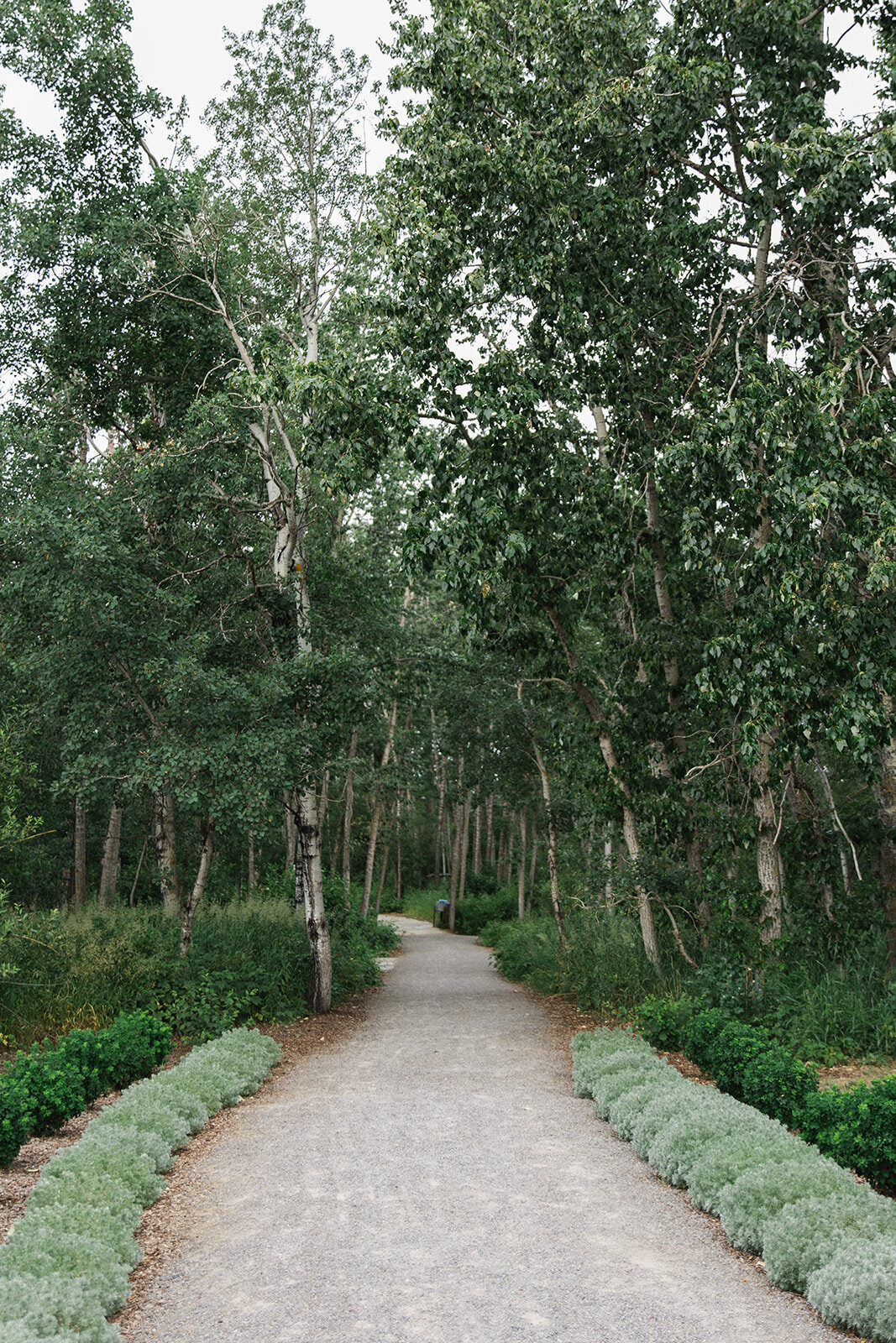 Sparrow Lane Fine Art Photographer by Lily Laidlaw Photography-12