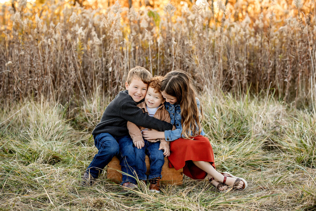 Three children sit on a wooden box in a grassy field. The older boy and girl embrace the younger boy in the middle. The scene is set against tall, amber-colored grass, suggesting a fall setting.